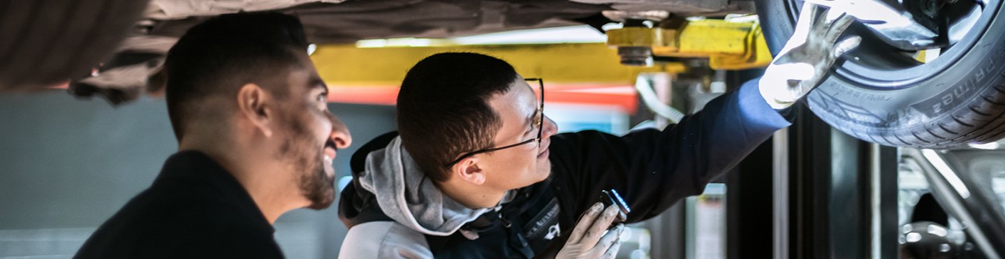 Garantía y mantenimiento