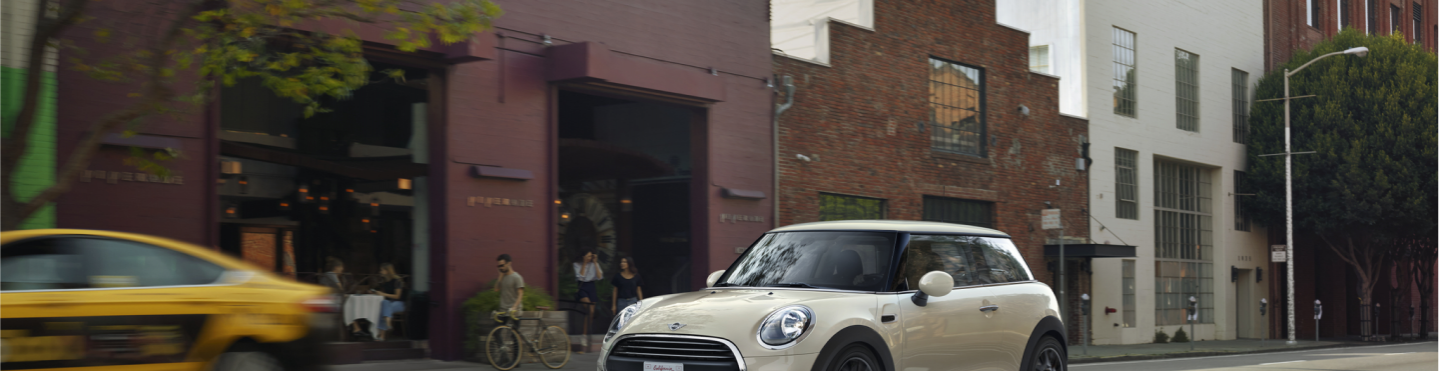 MINI SERVICE INCLUSIVE